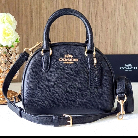 Coach Bags Nwt Coach Ca22 Sydney Satchel Crossbody Bag In